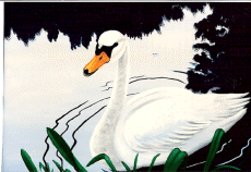 the_swan