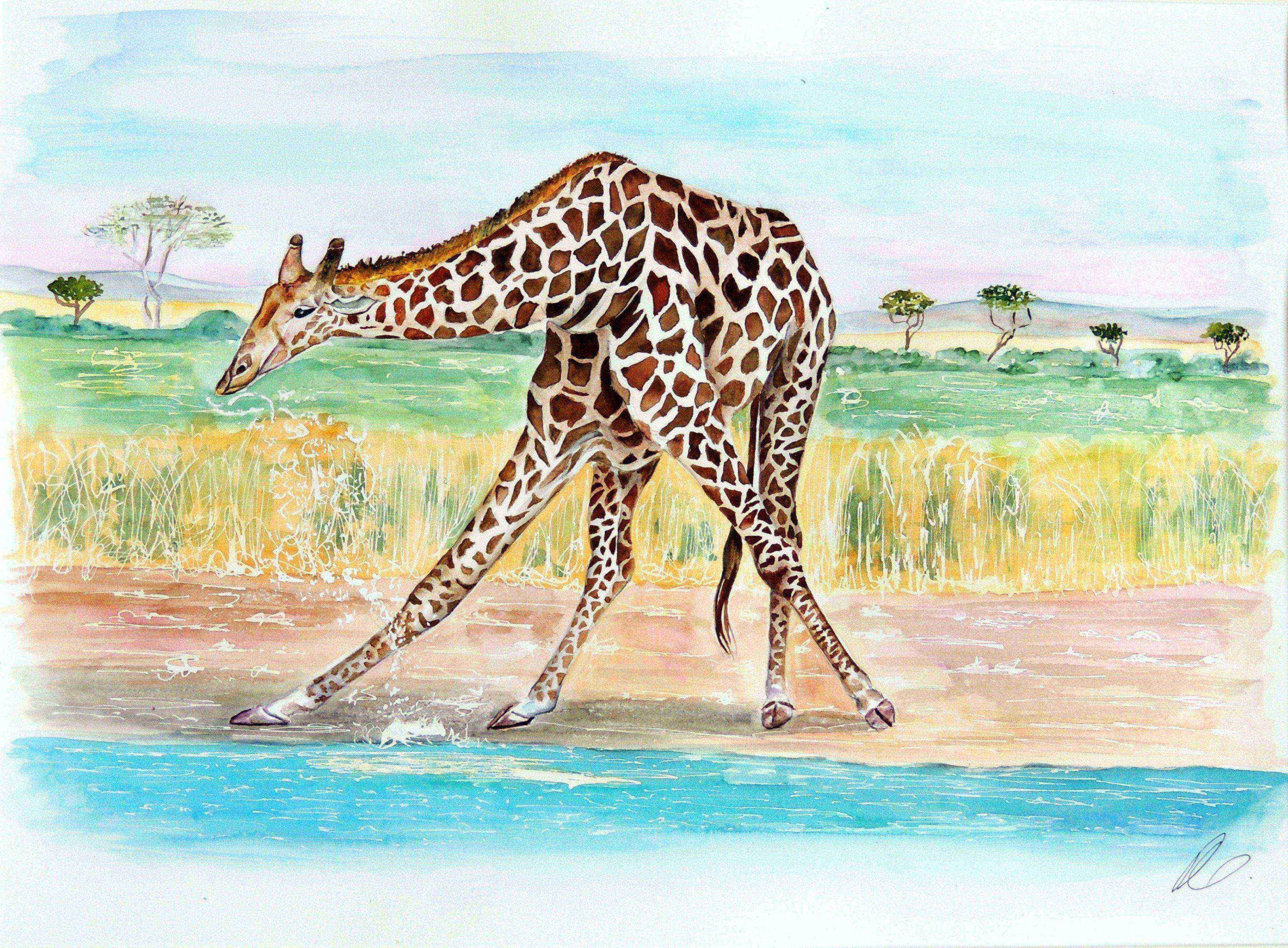 Giraffe watercolour painting by UK artist Elizabeth Sadler