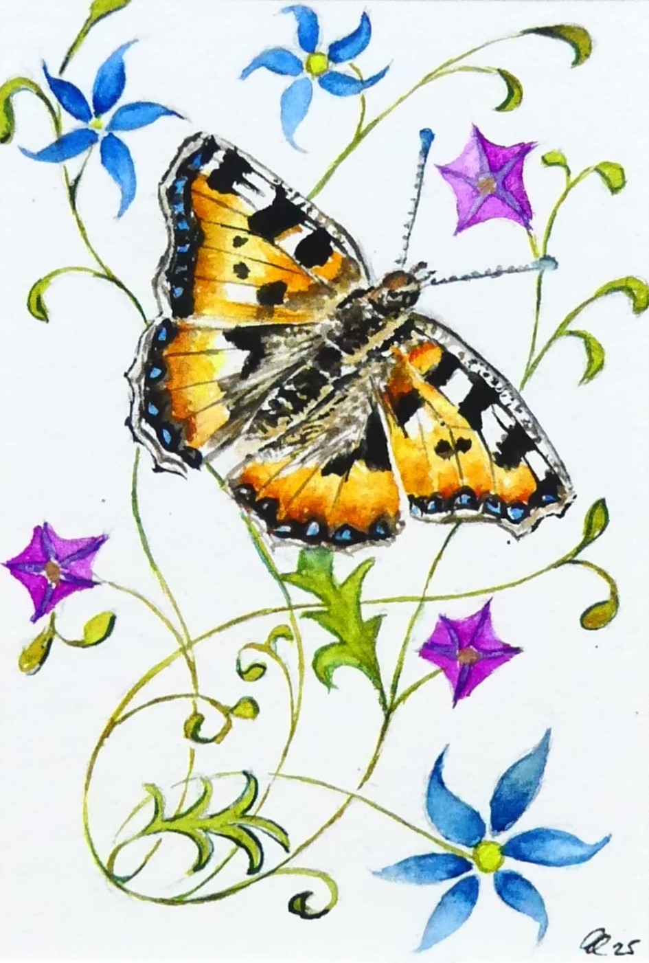 Tortoiseshellbutterfly framed watercolour by UK artist Elizabeth Sadler